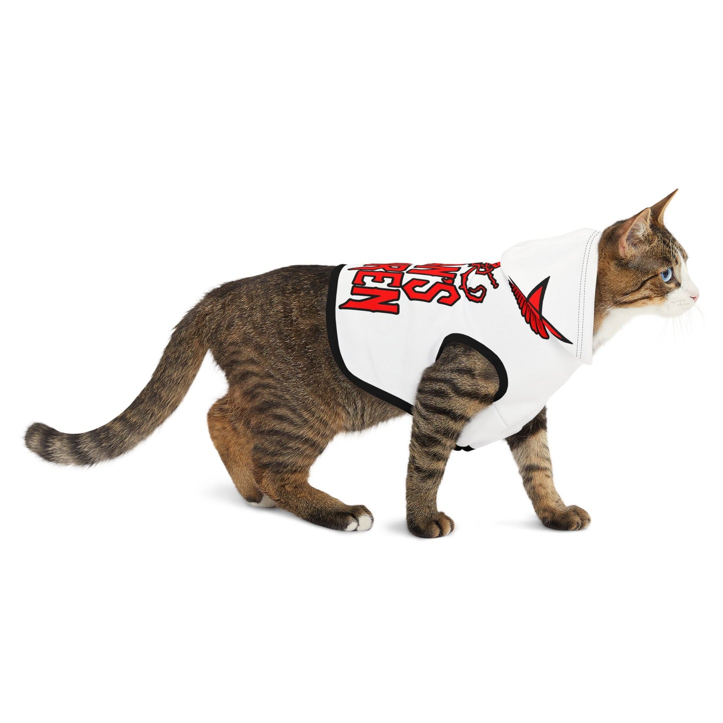 Satan's Children Original Logo Pet Hoodie – Pentagram Edition