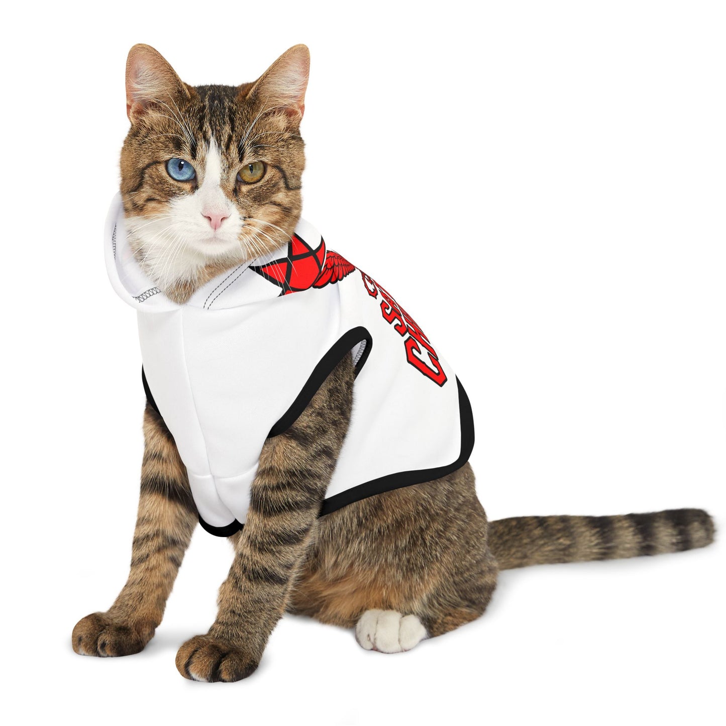 Satan's Children Original Logo Pet Hoodie – Pentagram Edition