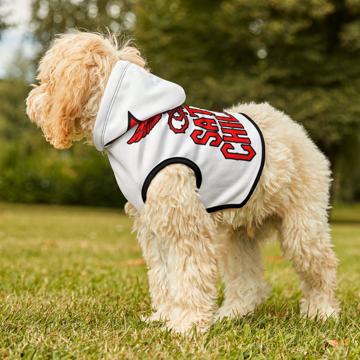 Satan's Children Original Logo Pet Hoodie – Pentagram Edition