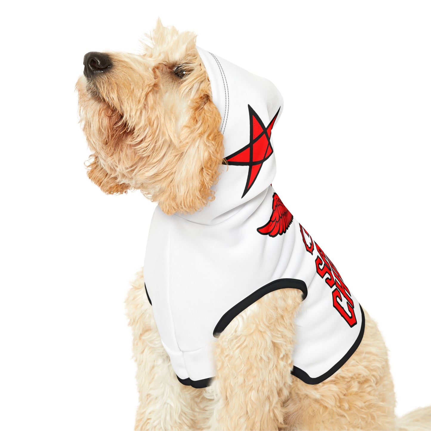 Satan's Children Original Logo Pet Hoodie – Pentagram Edition